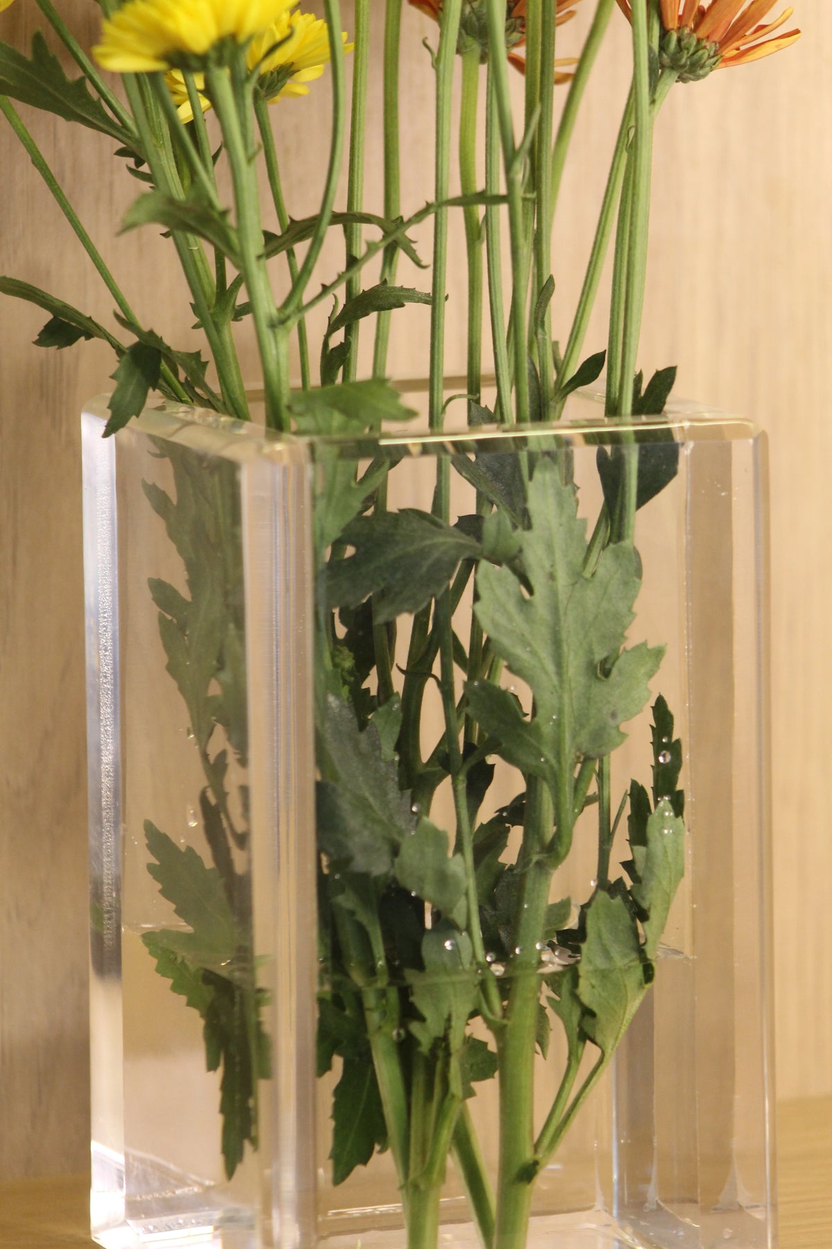 Vaso Decorativo Transparente para Flores | Authentic Home Decor